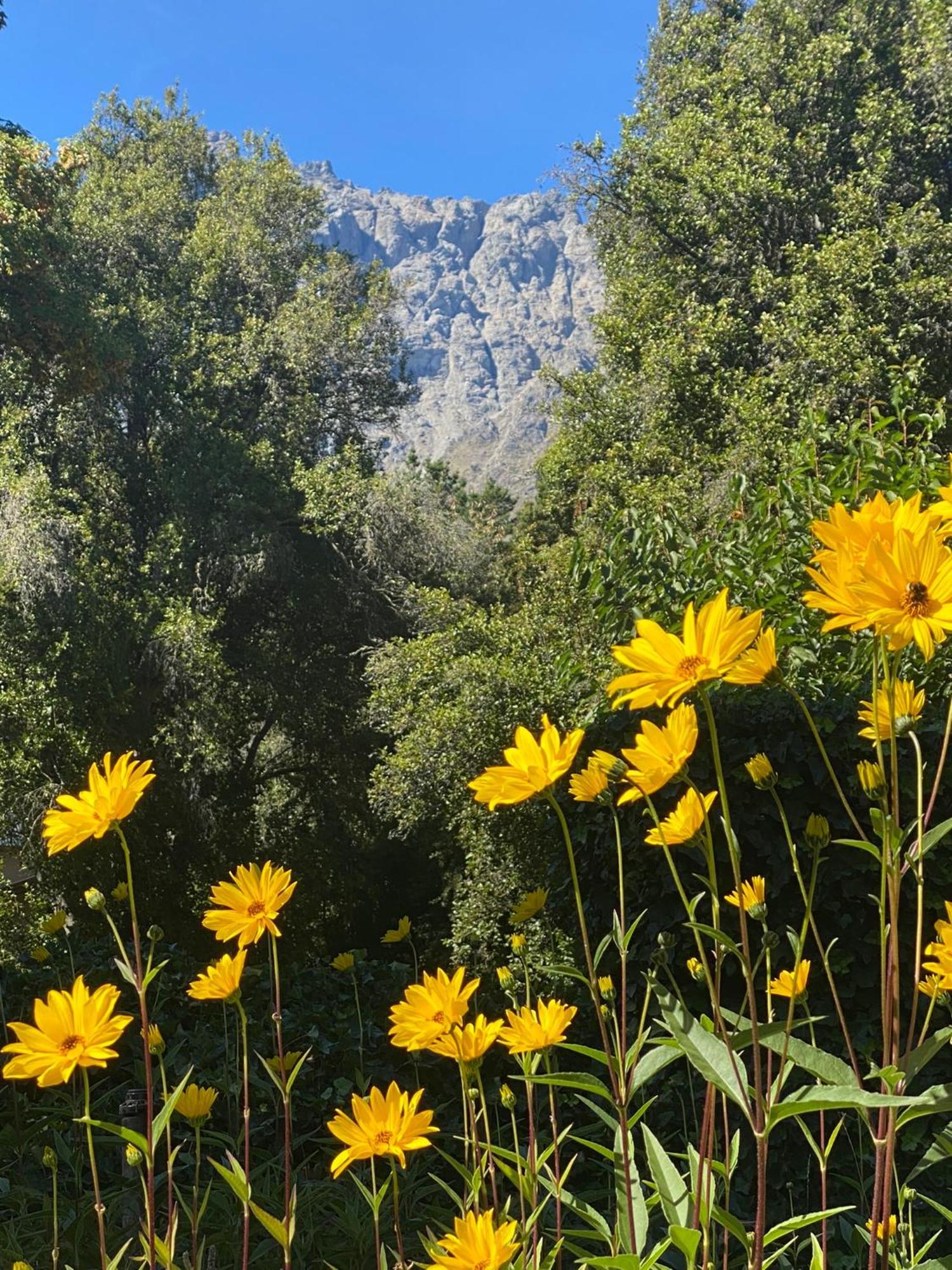 Altos Del Sur Cabanas De Montana El Bolsón 외부 사진