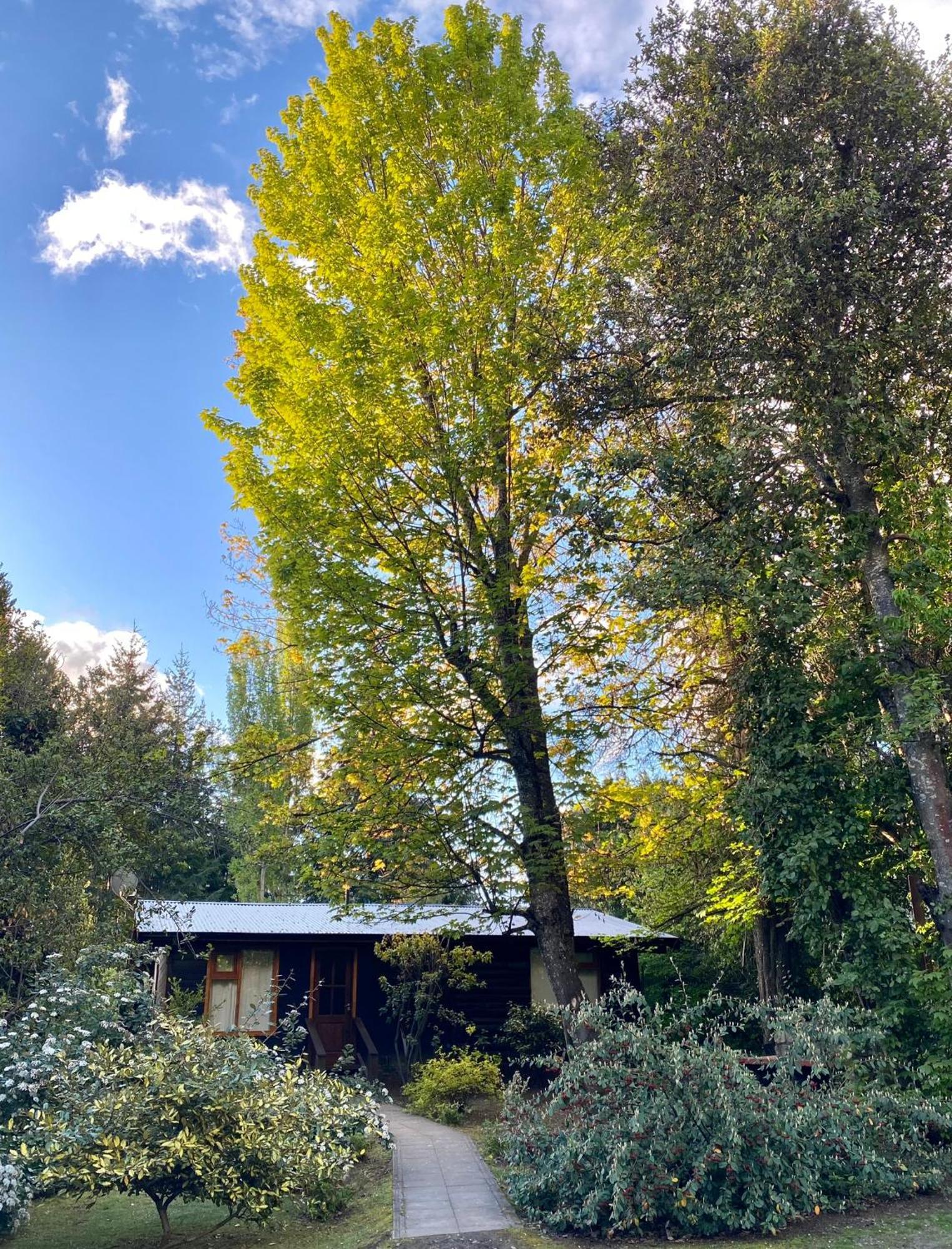 Altos Del Sur Cabanas De Montana El Bolsón 외부 사진