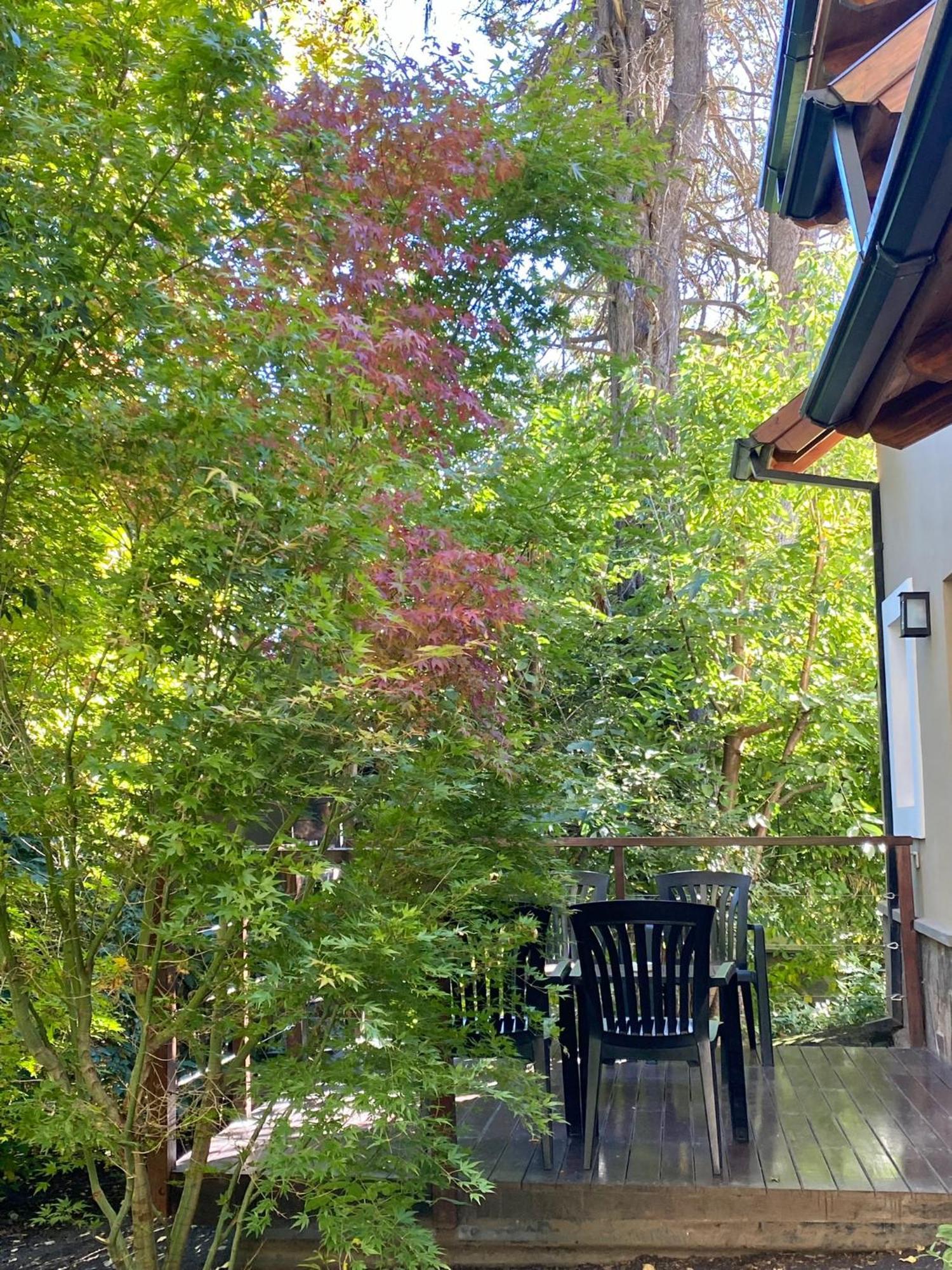 Altos Del Sur Cabanas De Montana El Bolsón 외부 사진