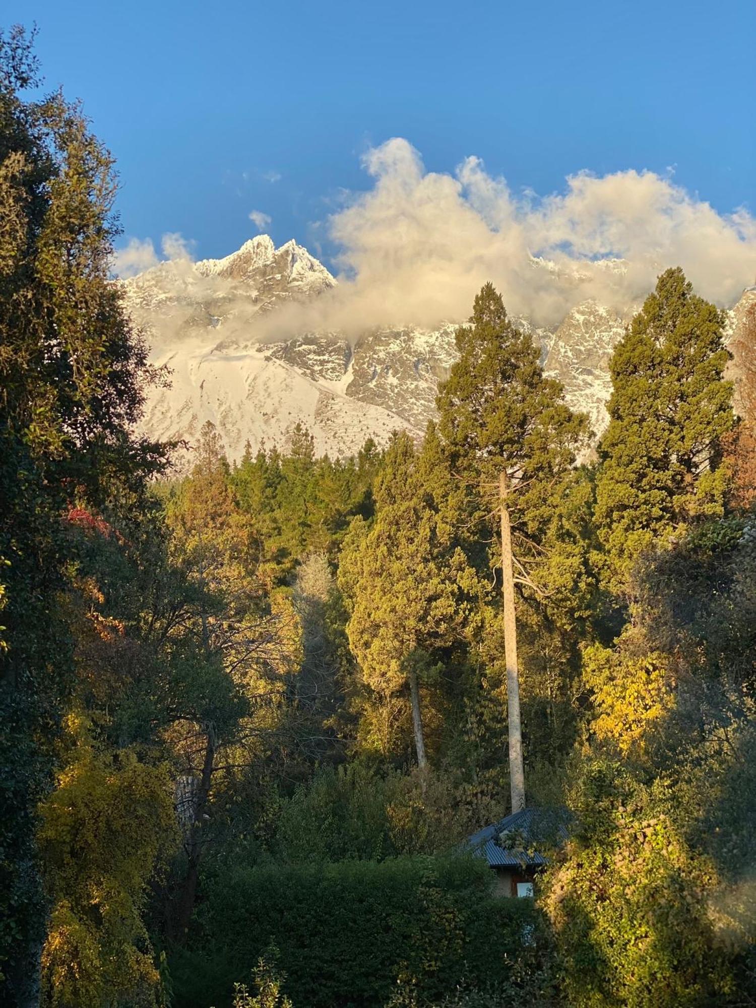 Altos Del Sur Cabanas De Montana El Bolsón 외부 사진