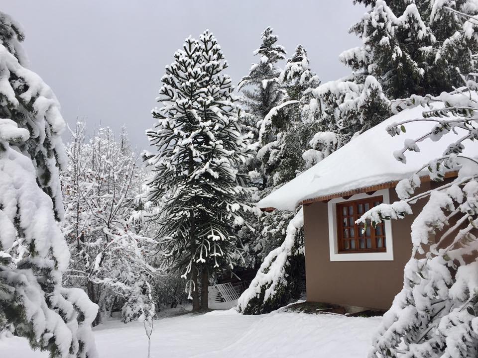 Altos Del Sur Cabanas De Montana El Bolsón 외부 사진