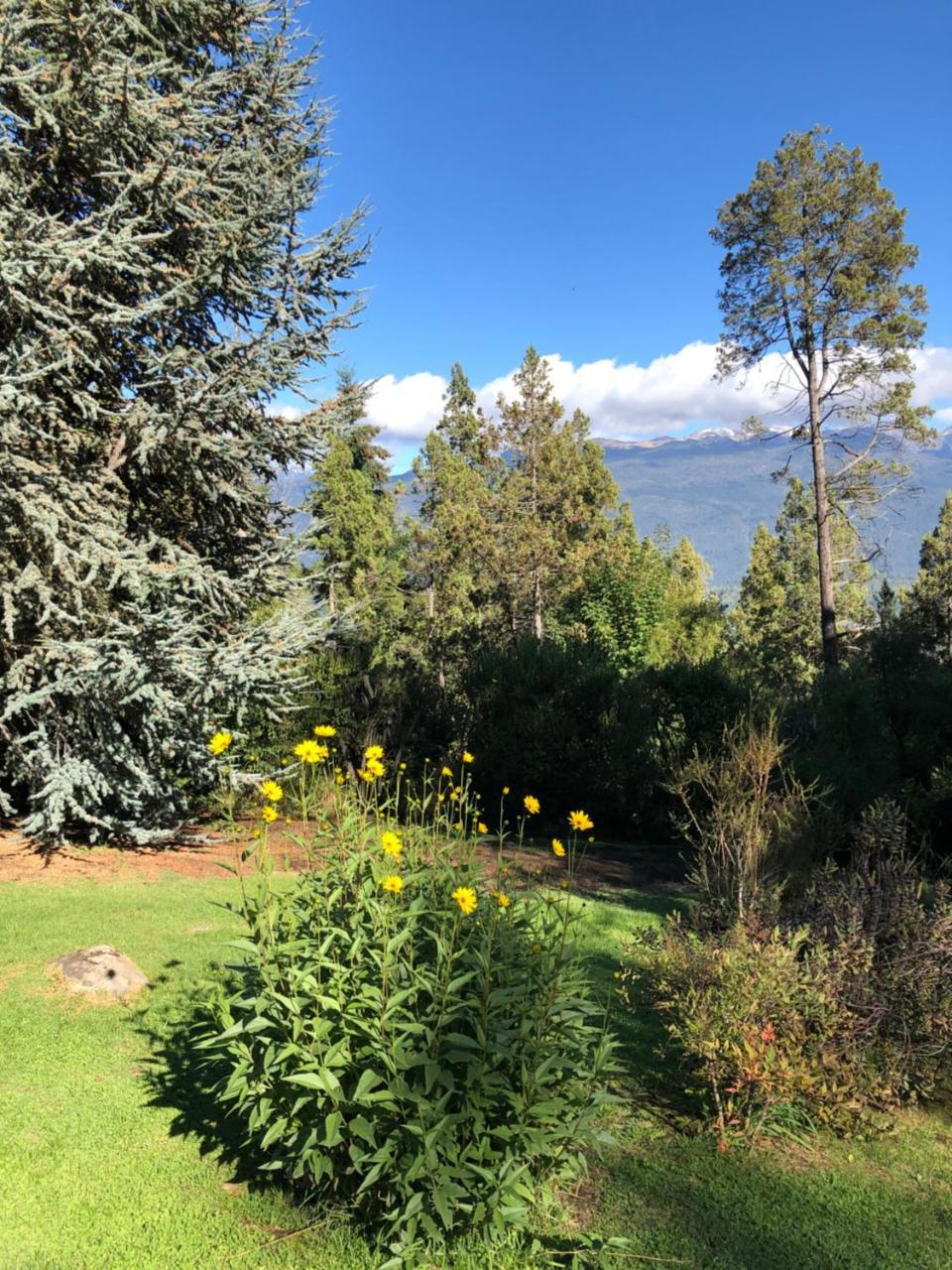 Altos Del Sur Cabanas De Montana El Bolsón 외부 사진